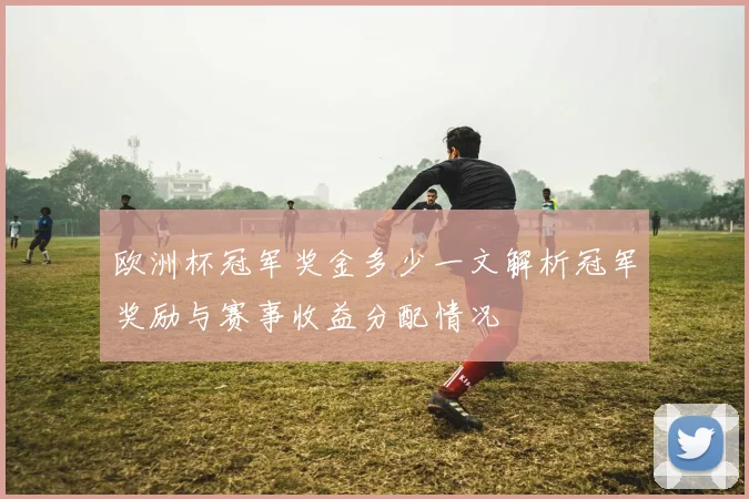 欧洲杯冠军奖金多少一文解析冠军奖励与赛事收益分配情况