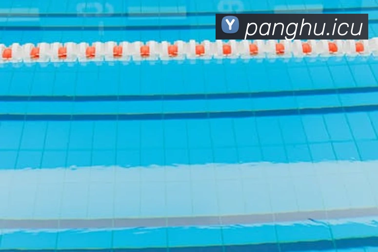 mksports最新比分发展历程